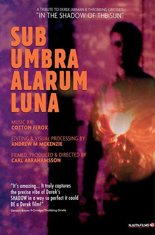 SUB UMBRA ALARUM LUNA